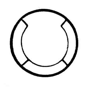 SABİTLEME HALKASI-LEGRAND 17/24MM